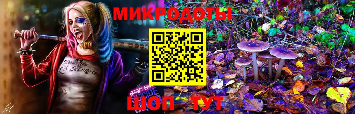 Калач-на-Дону  Псилоцибиновые грибы MAGIC MUSHROOMS  купить  цена  Вход с VPN 